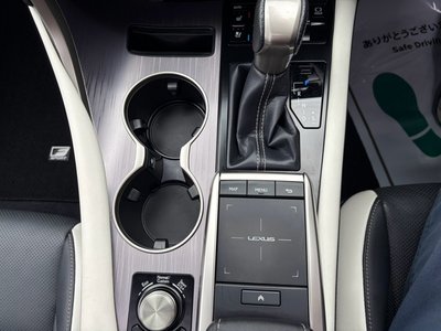2021 Lexus RX thumbnail 51