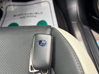 2021 Lexus RX thumbnail 38