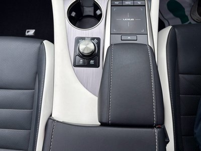 2021 Lexus RX thumbnail 52