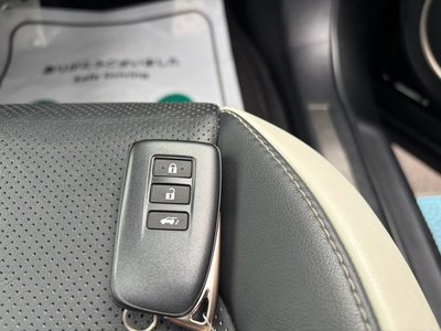 2021 Lexus RX thumbnail 37