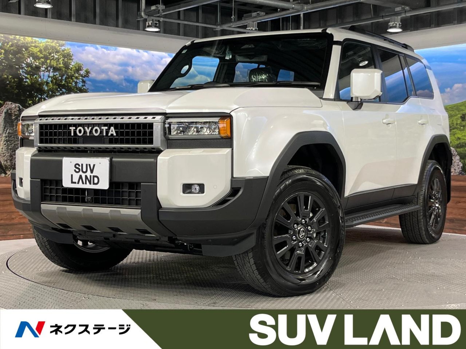 TOYOTA LAND CRUISER 250 - View 1
