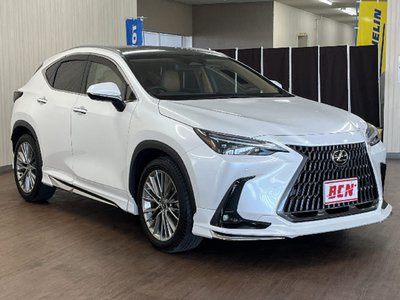 LEXUS NX - 2