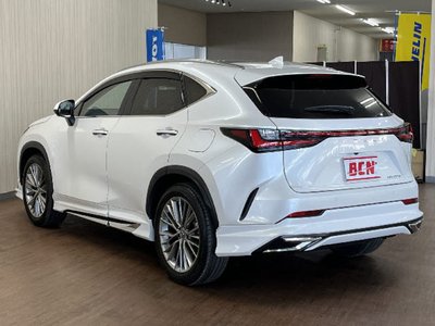 LEXUS NX - 6