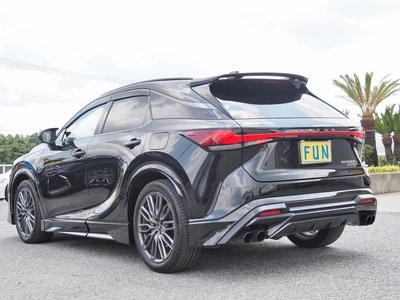 LEXUS RX - 6