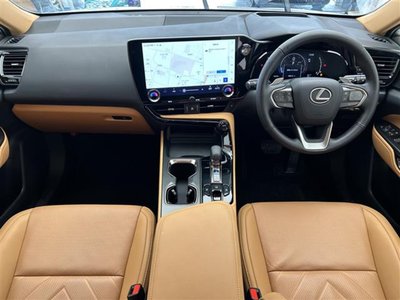 2024 Lexus NX — фото 2