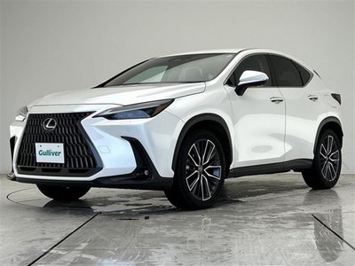 2024 Lexus NX — миниатюра 33