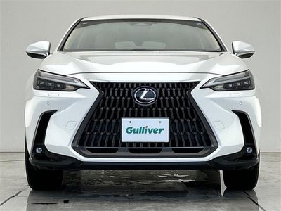 2024 Lexus NX — миниатюра 18