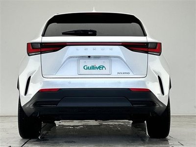 2024 Lexus NX — миниатюра 43