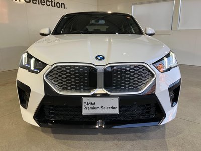 2025 BMW IX2 缩略图 12