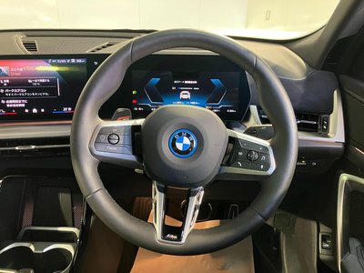 2025 BMW IX2 缩略图 32