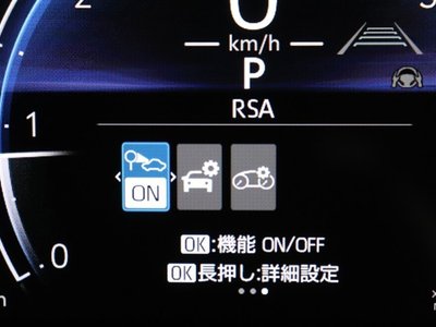 TOYOTA LAND CRUISER 250 - 10