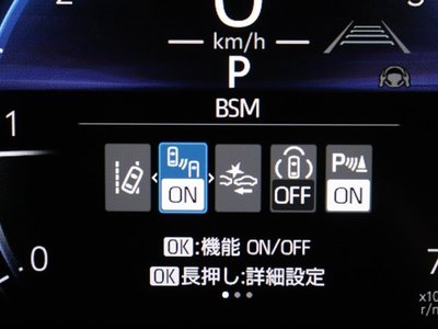 TOYOTA LAND CRUISER 250 - 8