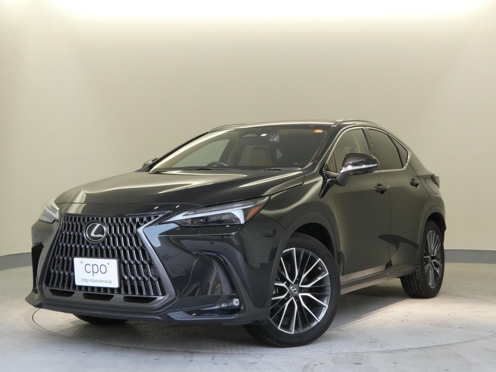 LEXUS NX - View 1