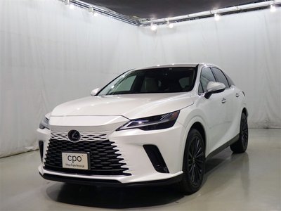 LEXUS RX - 1