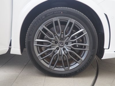 2023 Lexus RX 照片 9