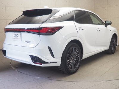 2023 Lexus RX 照片 7