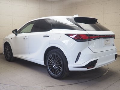 2023 Lexus RX 照片 5