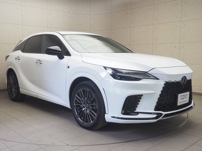 2023 Lexus RX 照片 3