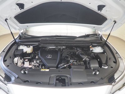 صورة مصغرة 20 لـ 2023 Lexus RX