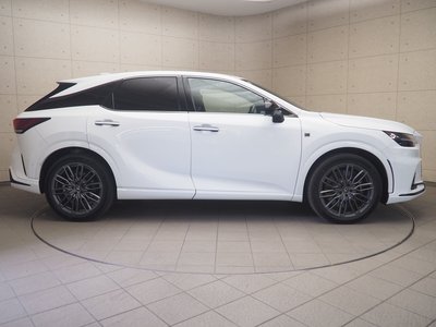 2023 Lexus RX 照片 8