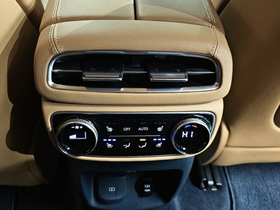 2020 Genesis GV80 缩略图 19