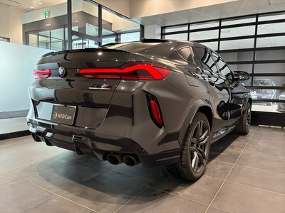 2023 BMW X6 M 照片 15