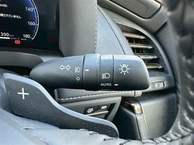 2025 Toyota VELLFIRE 缩略图 19