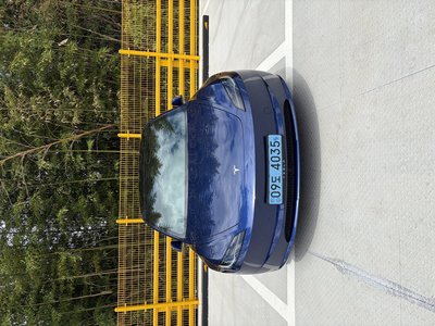 2024 Tesla MODEL 3 照片 2