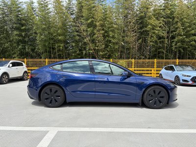 2024 Tesla MODEL 3 照片 6