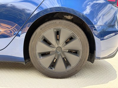 2024 Tesla MODEL 3 thumbnail 13