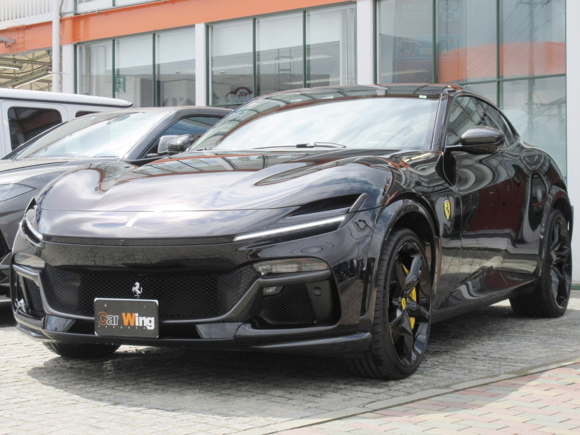 FERRARI PUROSANGUE - View 1