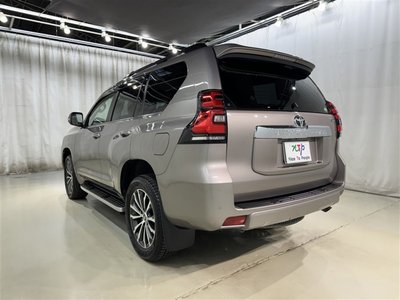 TOYOTA LAND CRUISER PRADO - 6