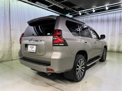 TOYOTA LAND CRUISER PRADO - 7