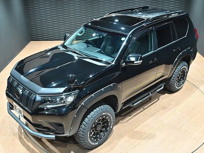 TOYOTA LAND CRUISER PRADO - 7