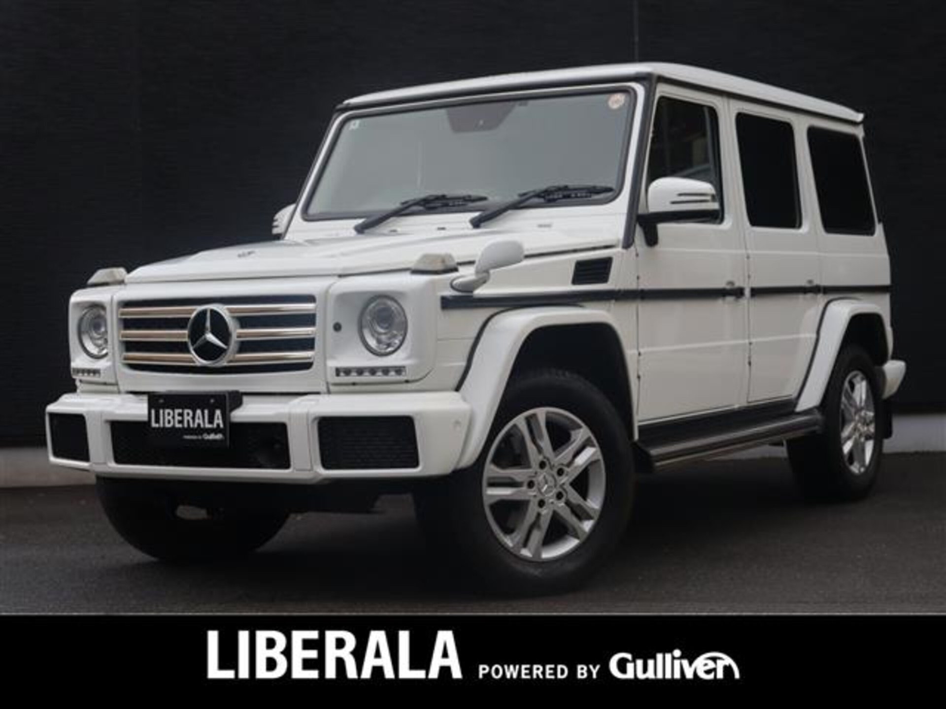 MERCEDES-BENZ G-CLASS - View 1