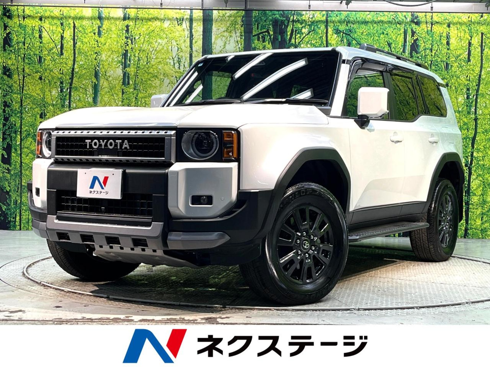 TOYOTA LAND CRUISER 250 - View 1