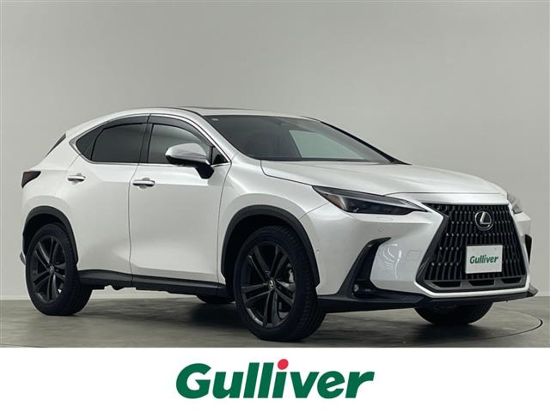 LEXUS NX - View 1