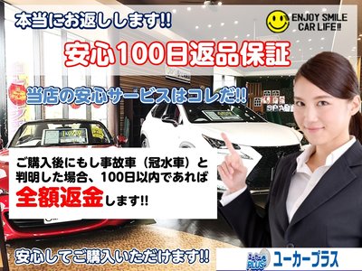 2026 Toyota ALPHARD — миниатюра 39