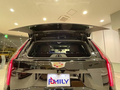صورة مصغرة 28 لـ 2022 Cadillac ESCALADE