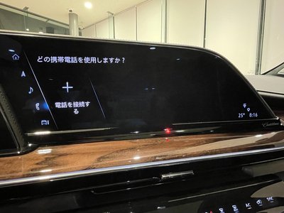 صورة مصغرة 46 لـ 2022 Cadillac ESCALADE