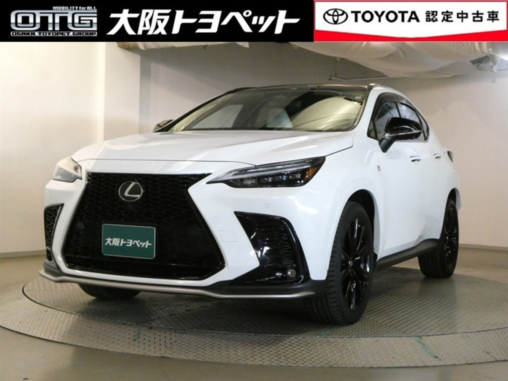 LEXUS NX - View 1