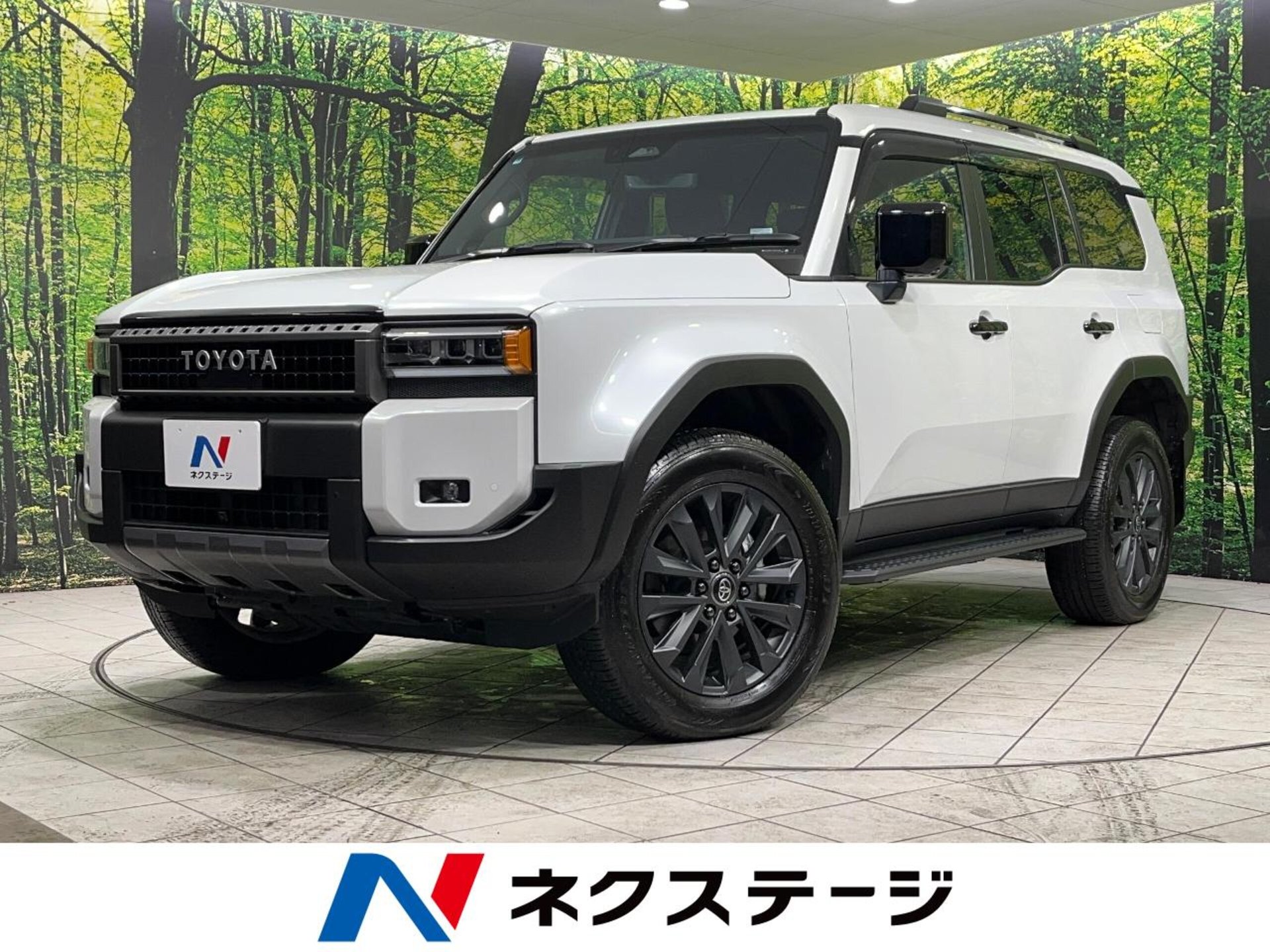 TOYOTA LAND CRUISER 250 - View 1