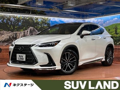 LEXUS NX - 1