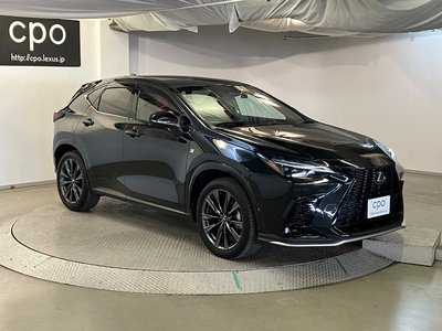 2023 Lexus NX 缩略图 12