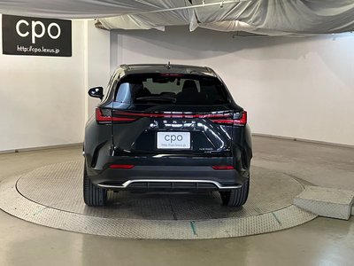 LEXUS NX - 7