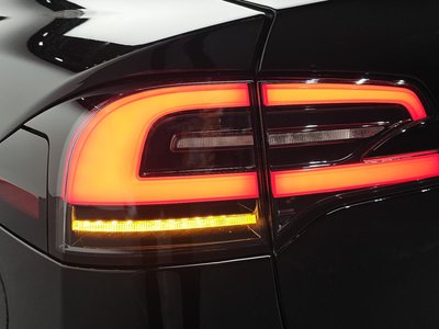 2023 TESLA MODEL X 照片 10
