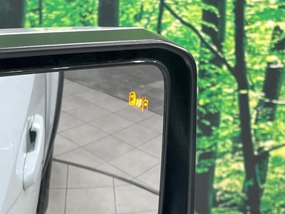 TOYOTA LAND CRUISER 250 - 6