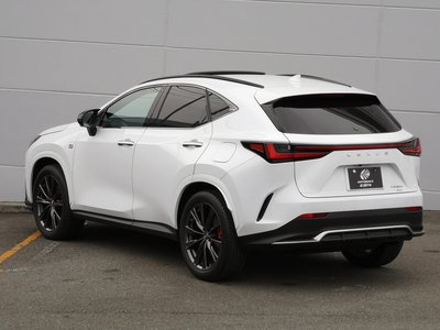 LEXUS NX - 10