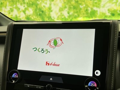 2024 Toyota ALPHARD — миниатюра 13