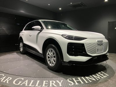 2026 AUDI Q6 E-TRON 缩略图 19